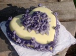 C 14.
Torta 24 rezová 
Cena: 70.00 €
