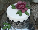 C - 71.
Torta 20 rezová s priemerom 23 cm
Cena: 60.00 €