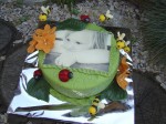 19 Torty s jedlou oplátkou-80
