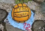 22 Športové torty-33