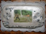 B 10.
PSP
Torta 20 rezová
Cena : 50.00 €
